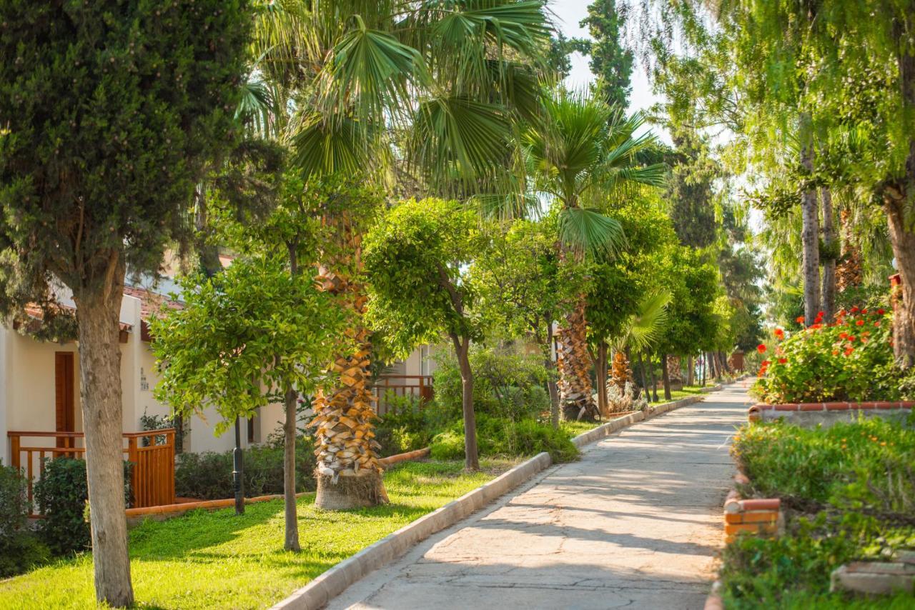 Pine Bay 5* Кушадасы